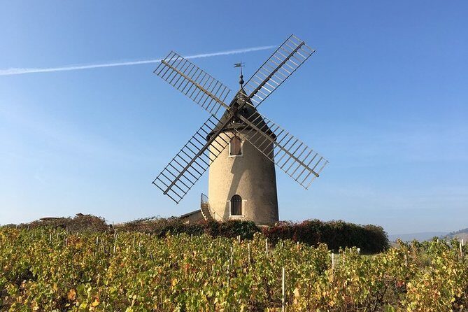 Beaujolais Wines & Castles - Private Tour - Half Day - FAQ