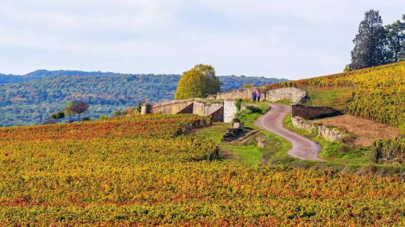 Beaune: Exclusive Private Guided Tour - Key Points