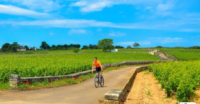 Beaune: Winery Tour by Bike with Wine Tasting - Exploring Burgundy on Two Wheels