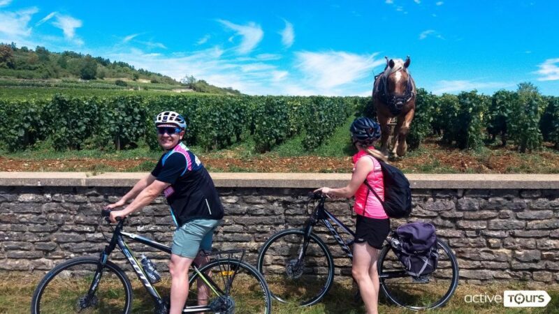 Beaune: Winery Tour by Bike with Wine Tasting - Scenic Villages & Authentic Atmosphere