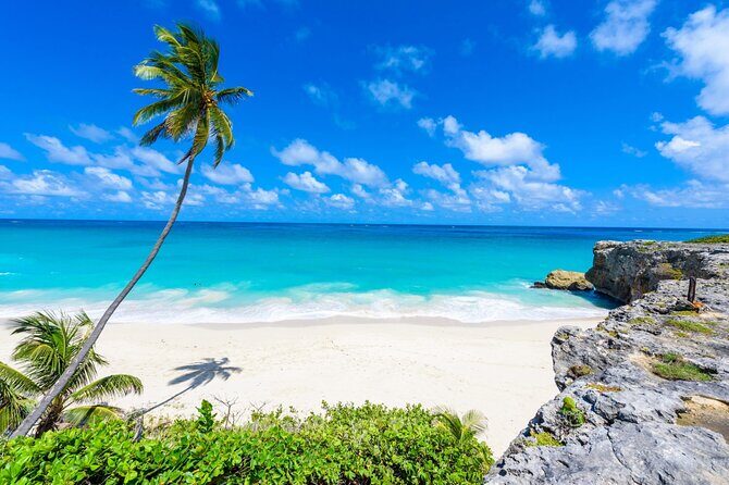 Beautiful Coastal Sightseeing Tour of Barbados - Who Will Love This Tour?