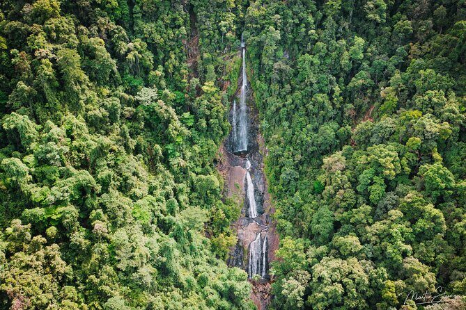 Beautiful Daintree Waterfall Walk, Magical Swim & Heavenly Lunch - Key Points