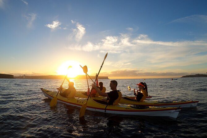 Beautiful Middle Harbour Sunriser / Guided Kayaking Private Tour - Discover the Magic of a Middle Harbour Sunriser Kayaking Tour