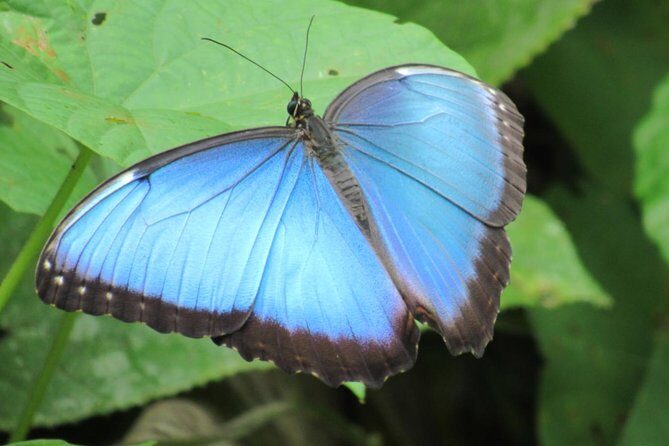 Beautiful Panama City BioTour - Final Thoughts: The Value of a Local Touch in Nature