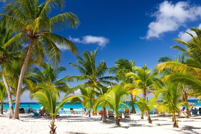 Beautiful Saona Island - Beautiful Saona Island: A Detailed Review