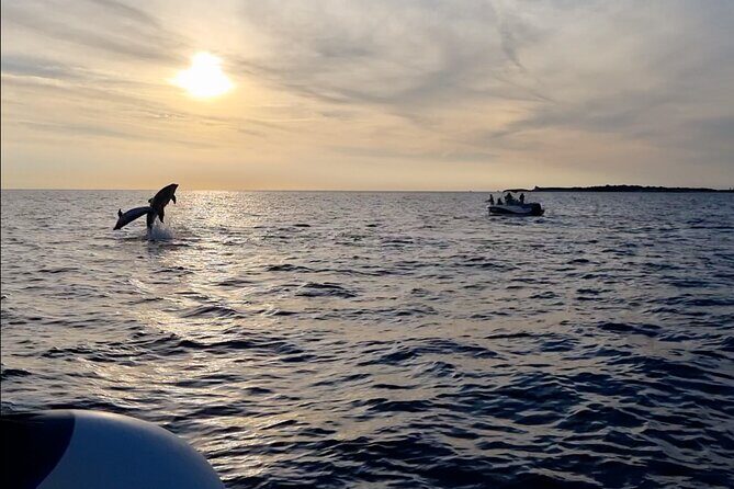 Beautiful Sunset and Dolphin Watching - The Value of This Experience