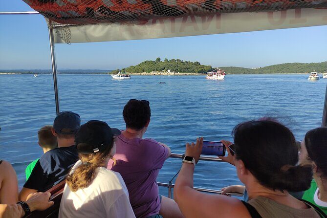 Beautiful Sunset and Dolphin Watching - The Sum Up