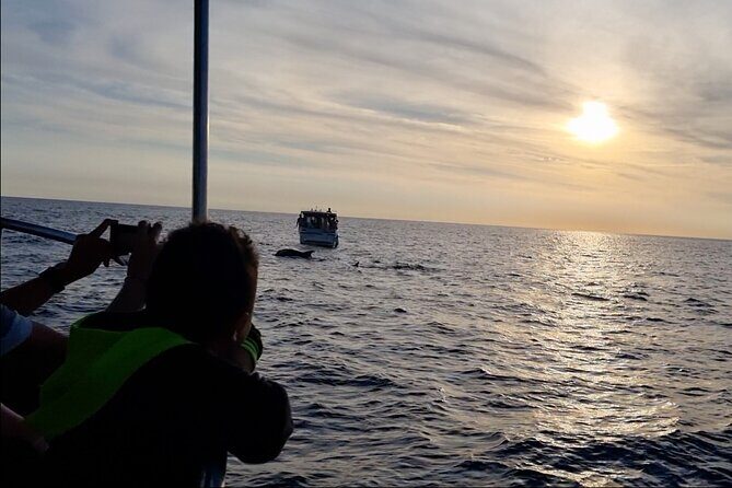 Beautiful Sunset and Dolphin Watching - Frequently Asked Questions