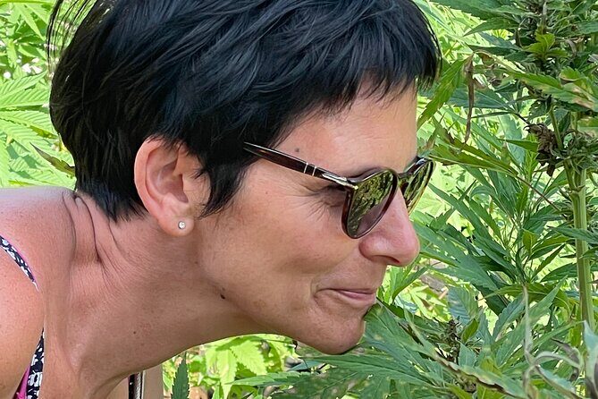 Beautiful Sunset Tour at the Rick's Cafe in Negril - Final Thoughts: Is This Tour Right for You?