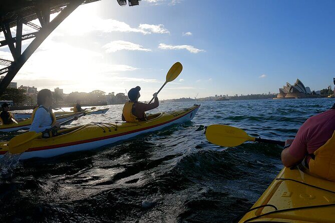 Beautiful Sydney Harbour Breakfast Kayaking Tour - Final Thoughts