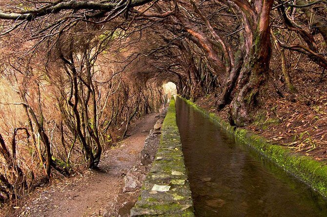 Beautiful walks in Rabaçal, Madeira - An in-depth look at the Rabaçal walk experience