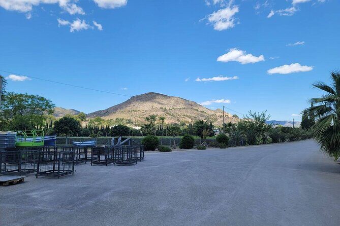 Beautiful Winery in the Alicante - Discovering a Beautiful Winery in Alicante: An Authentic Taste of Spain’s Wine Culture