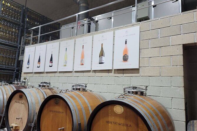 Beautiful Winery in the Alicante - Exploring a Classic Alicante Winery Experience