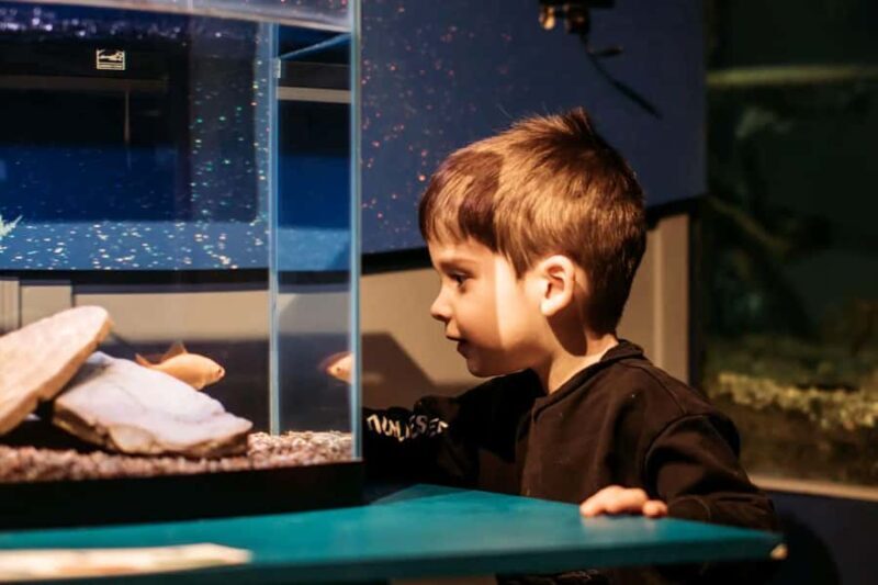 Becancour: Biodiversity Museum Visit - Final Thoughts