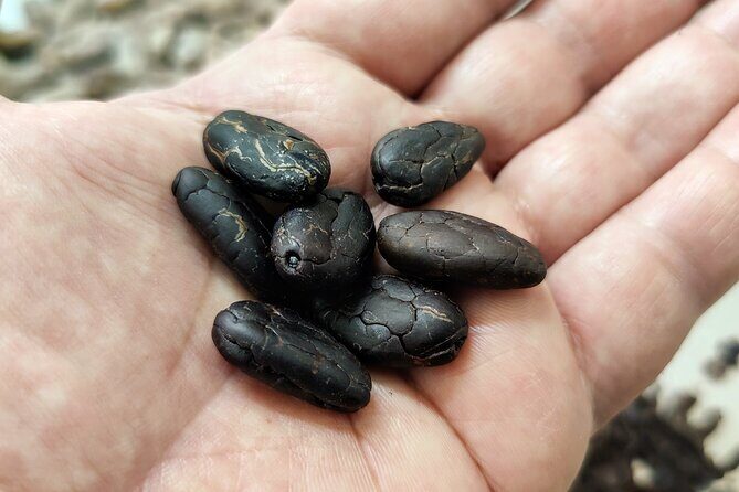 Become a chocolatier for a day, in Modica raw chocolate - A Detailed Look at the Modica Raw Chocolate Tour
