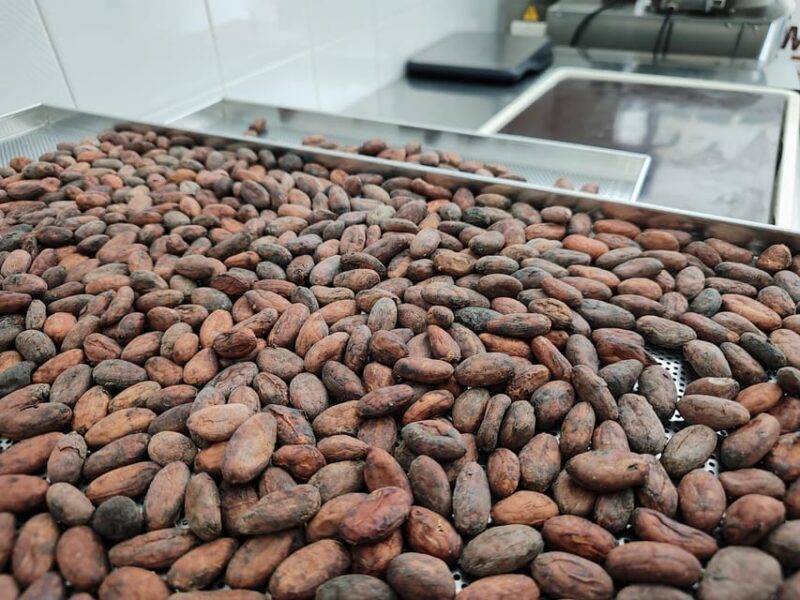 Become a chocolatier for a day! - Key Points