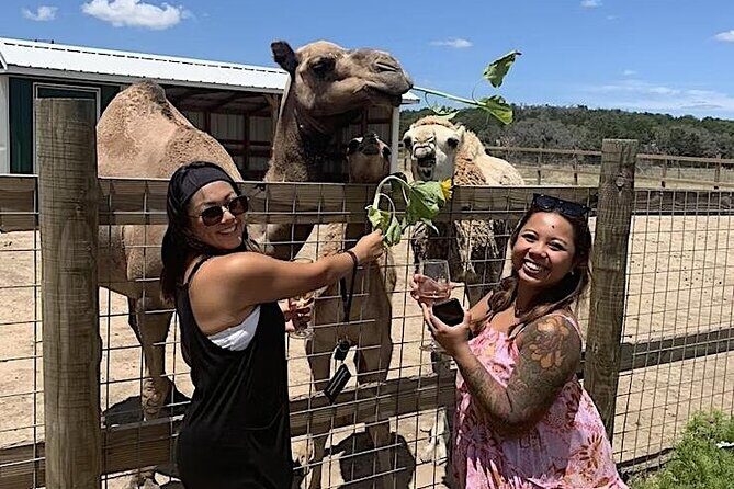 Become a Ranch Hand for a Day in Fredericksburg - What Makes This Experience Stand Out