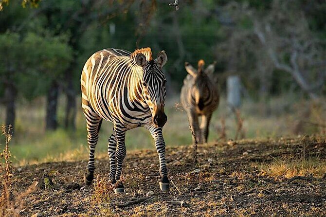 Become a Ranch Hand for a Day in Fredericksburg - Itinerary Breakdown