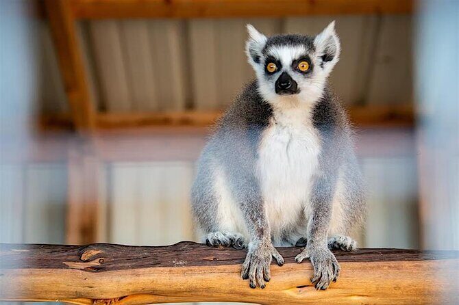 Become a Ranch Hand for a Day in Fredericksburg - Final Thoughts