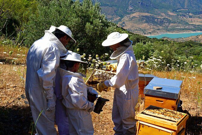 Bee Excursions in the Sierra de Cadiz - Exploring Bee Excursions in the Sierra de Cadiz: An Authentic Beekeeping Experience