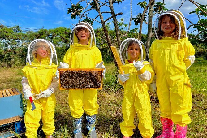 Bee Farm Ecotour and Honey Tasting in Waialua, North Shore Oahu - The Sum Up: Who Should Consider This Tour?