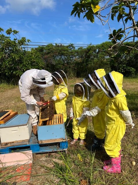 Bee Farm Tour & Honey Tasting - A Closer Look at the Bee Farm Tour & Honey Tasting