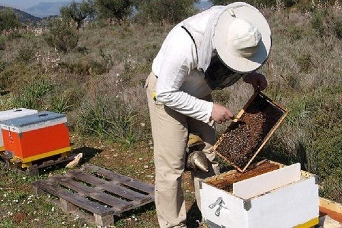 Beekeeper for a Day close to Nafplio - Why This Tour Is Worth Considering