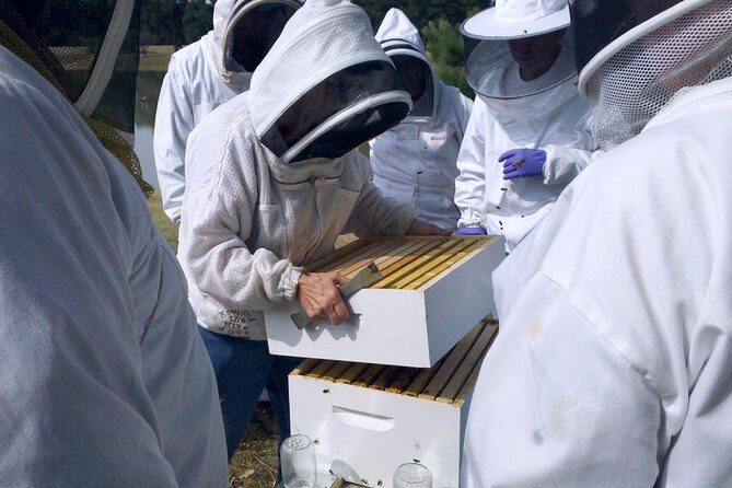 Beekeeping Day Trip| Private Guided Tour from Bucharest - Exploring the Beekeeping Day Trip from Bucharest: A Genuine Hygienic and Authentic Experience