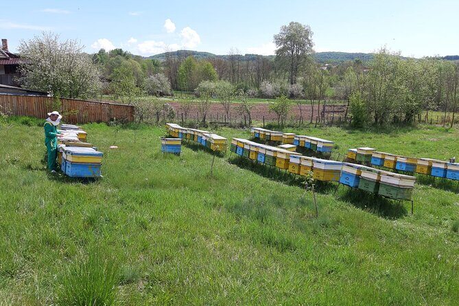 Beekeeping Day Trip| Private Guided Tour from Bucharest - Key Points