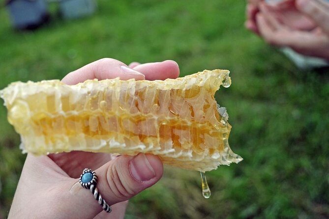 Beekeeping Day Trip| Private Guided Tour from Bucharest - What Sets This Tour Apart