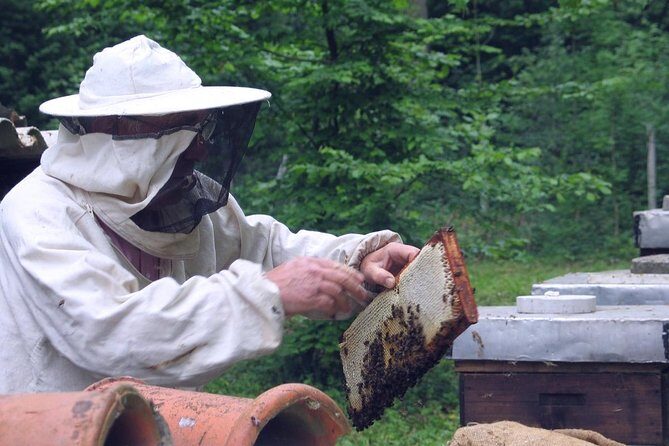 Beekeeping Day Trip| Private Guided Tour from Bucharest - Who Will Enjoy This Tour?