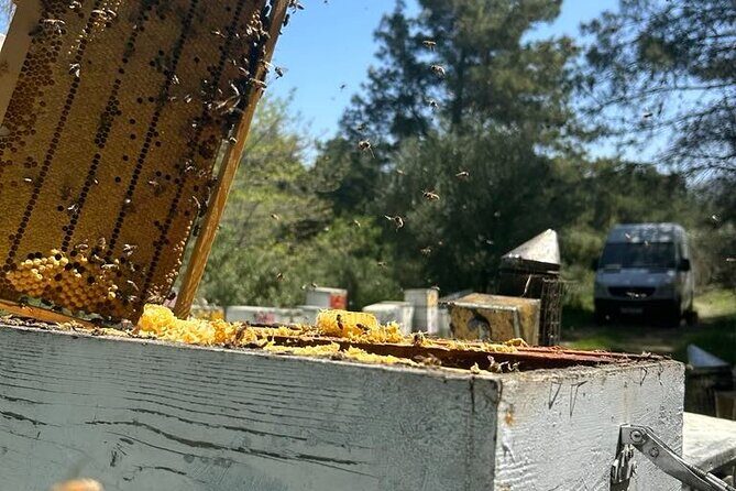 Beekeeping experience " Areti Honey " - A Sweet Journey into Beekeeping with Areti Honey in Rhodes