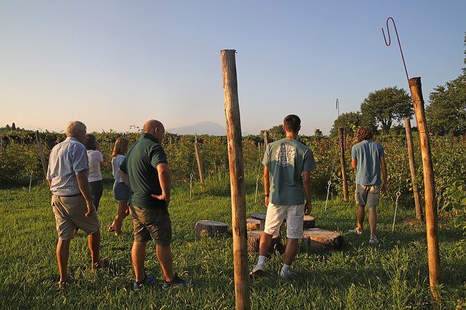 Beekeeping Farm Tour and Tasting Experience in Lazise - Exploring the Beekeeping Farm Tour in Lazise