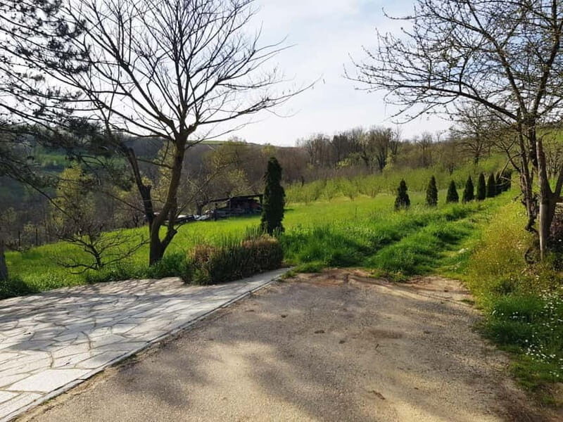 Beekeeping Tour and Honey Tasting Experience in Monferrato - Beekeeping Tour and Honey Tasting Experience in Monferrato
