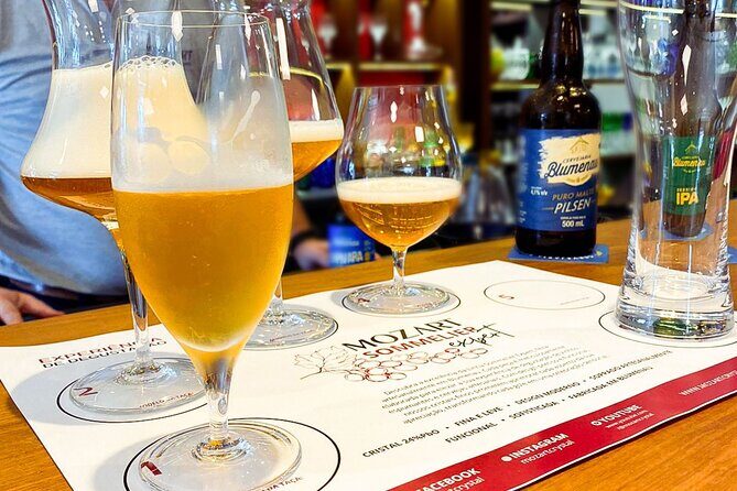 Beer Tasting Experience - In-Depth Review of the Beer Tasting Experience in Itajai