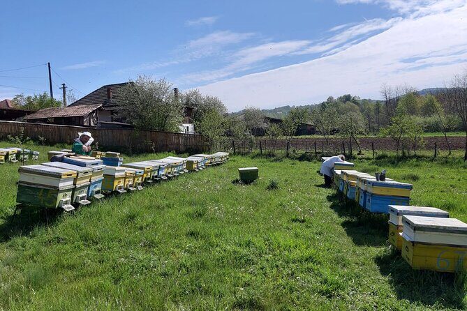 Bees Adventure in Romania - Private Day Trip from Bucharest - FAQs