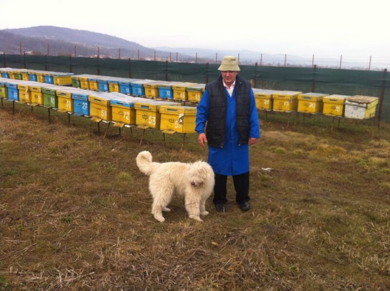 Bees in Romania - Private Beekeeping Lesson and Local Lunch - FAQ