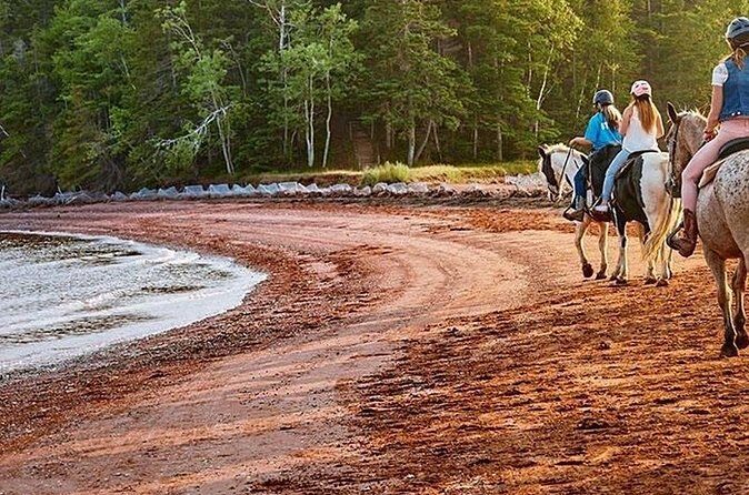 Beginner Brudenell Beach Trail Ride - The Itinerary: A Slice of PEI