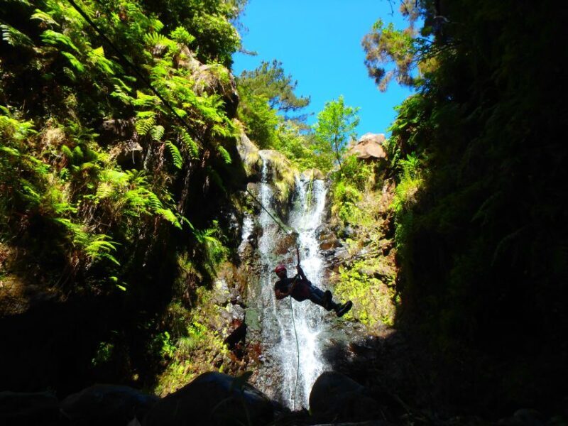 Beginner Canyoning Madeira - The Sum Up: Who Should Join?