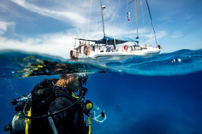 Beginner Diving Experience in Ligaria Bay - A Detailed Look at the Beginner Diving Experience in Ligaria Bay