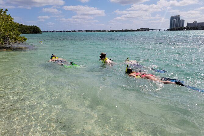 Beginner Friendly Island Snorkeling - Beginner Friendly Island Snorkeling: An Honest Look at a Fun Miami Water Adventure