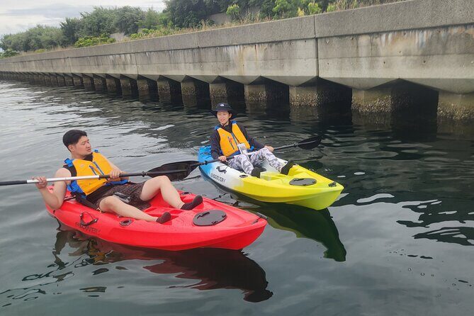 Beginner Friendly Stand Up Paddle Boarding Tour in Awaji Island - A Quick Look at This Experience