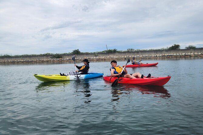 Beginner Friendly Stand Up Paddle Boarding Tour in Awaji Island - Price and Value