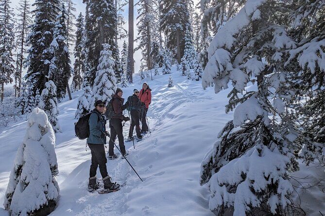Beginner/Intermediate Snowshoeing in the Bitterroot Mountains - Beginner/Intermediate Snowshoeing in the Bitterroot Mountains — A True Montana Wilderness Adventure
