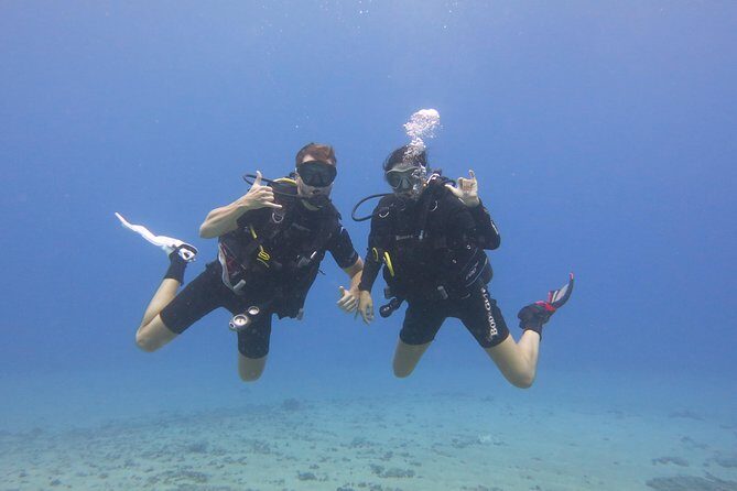 Beginner Scuba Dive in Lahaina: Swimming Required - The Verdict: Is It Worth It?
