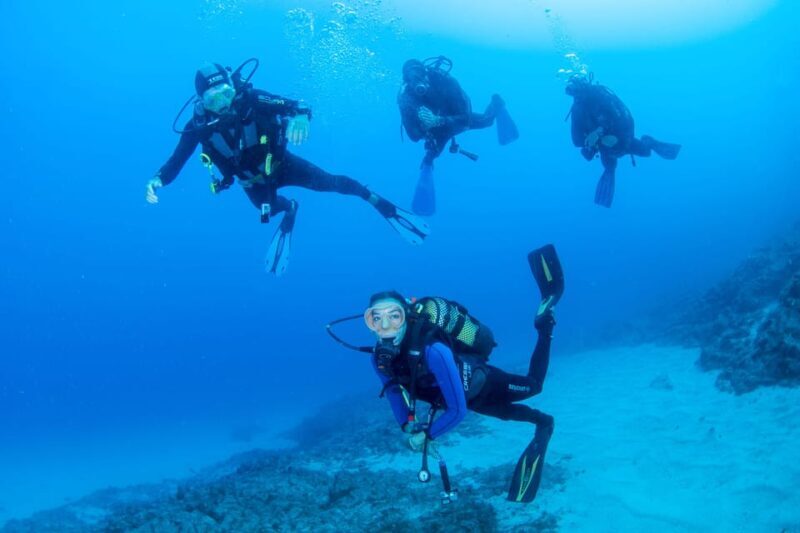 Beginner Scuba Dive with Scubapoint Tenerife in Turtle Area - Beginner Scuba Dive with Scubapoint Tenerife in Turtle Area