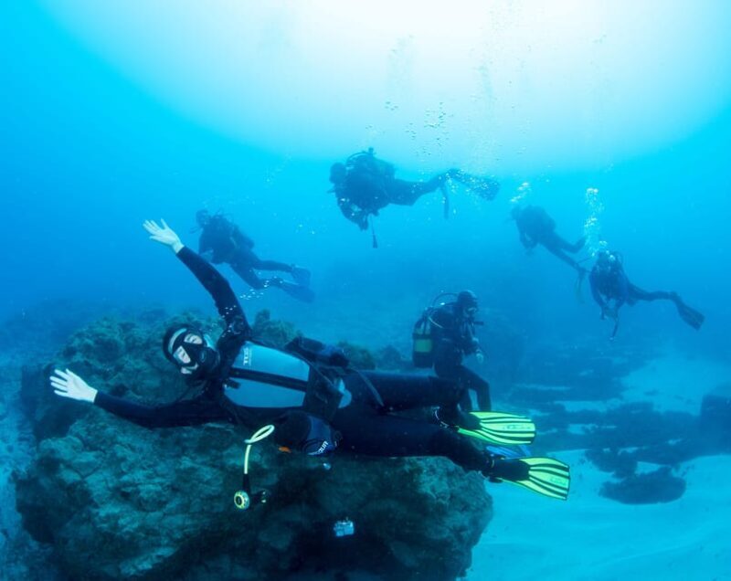 Beginner Scuba Dive with Scubapoint Tenerife in Turtle Area - Why This Tour Works