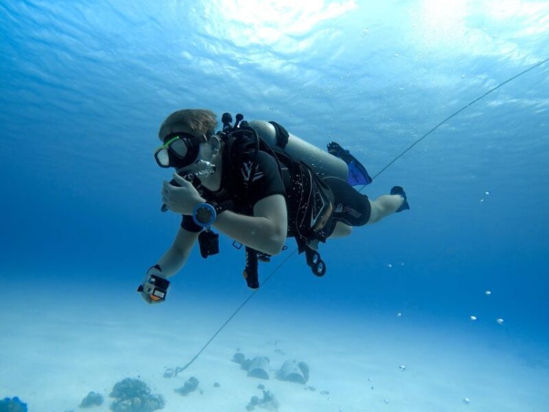 Beginner Scuba Dive with Scubapoint Tenerife in Turtle Area - Final Thoughts