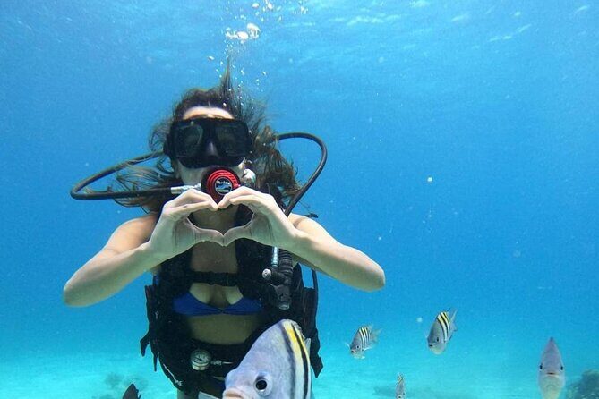 Beginner Scuba Diving Adventure at Chankanaab - Final Thoughts