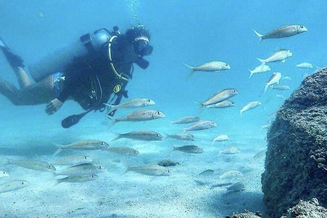 Beginner Scuba Diving Adventure with Videos in Honolulu - The Value of This Experience